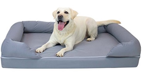 XL Dog Bed with Cute Dog