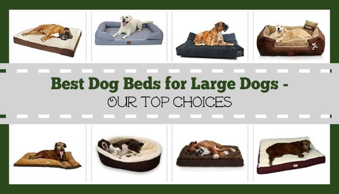 Best Dog Beds for Large Dogs - Our Top Choices