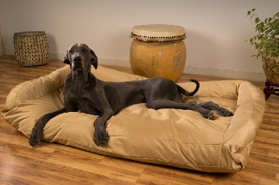 Chew-Proof Bed