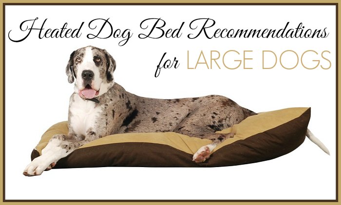 Heated Dog Bed Recommendations for Large Dogs