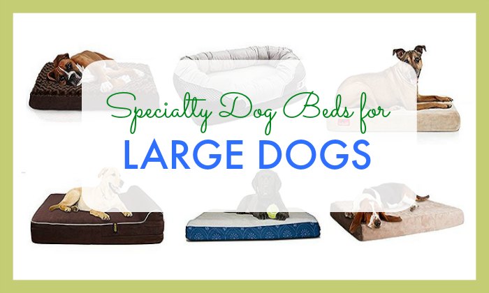 Specialty Dog Beds for Large Dogs