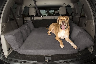 Backseat Barker: SUV Edition