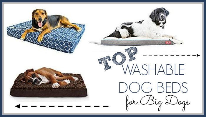 Washable Dog Beds for Big Dogs