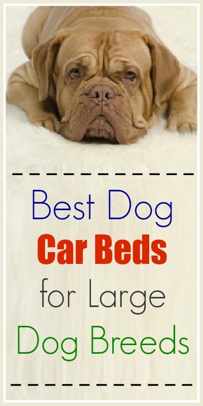 Favorite Dog Car Beds