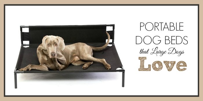 Portable Dog Beds that Large Dogs Love