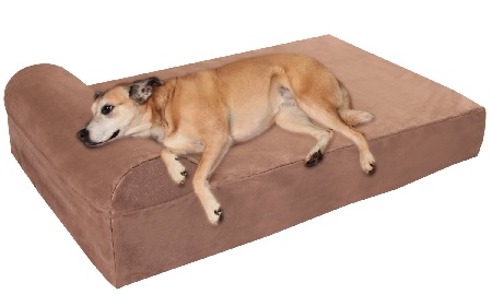 Senior Dog on a Bed