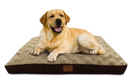 X Large Dog Bed